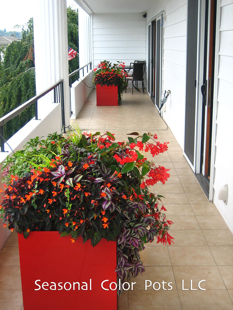 Seasonal Color Pots Summer Balcony Gardens