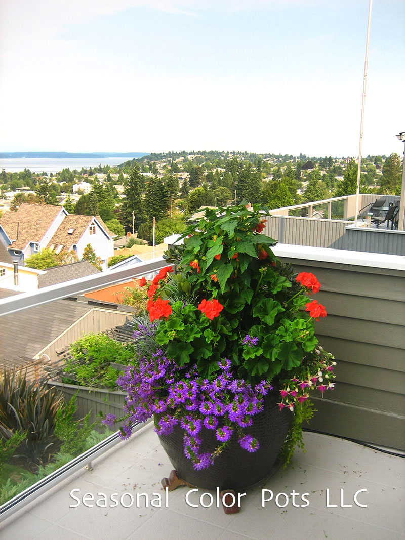Seasonal Color Pots Summer Balcony Gardens