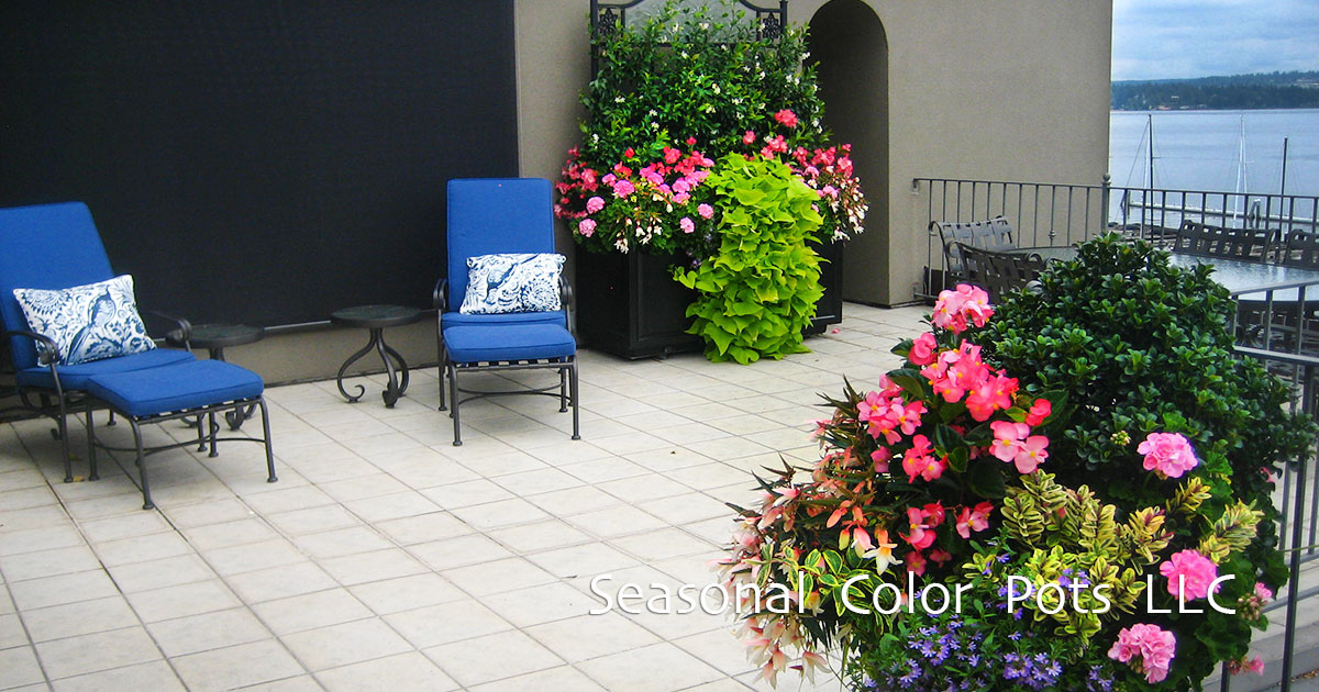 Seasonal Color Pots Summer Balcony Gardens